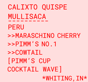 Calixto Quispe Mullisaca label