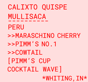 Photo of Calixto Quispe Mullisaca