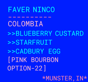Photo of Faver Ninco