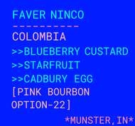 Faver Ninco