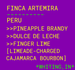 Photo of Finca Artemira
