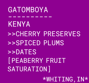 Photo of Gatomboya