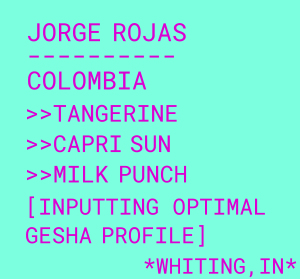 Photo of Jorge Rojas
