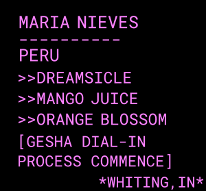 Photo of Maria Nieves