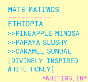 Photo of Mate Matiwos