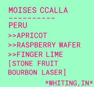 Photo of Moises Ccalla
