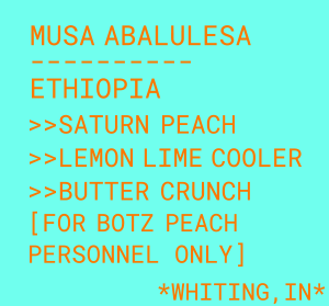 Photo of Musa Abalulesa
