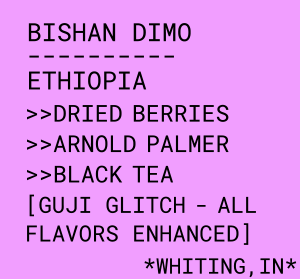 Photo of Bishan Dimo