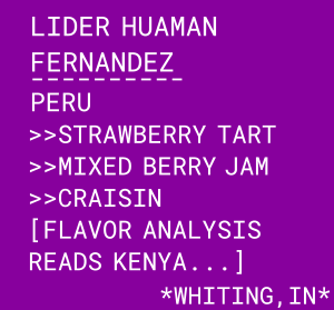 Lider Huaman Fernandez Label
