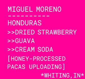 Photo of Miguel Moreno