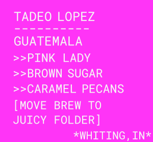 Photo of Tadeo Lopez